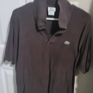 Lacoste brown polo size 7